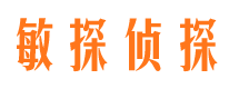 颍上侦探